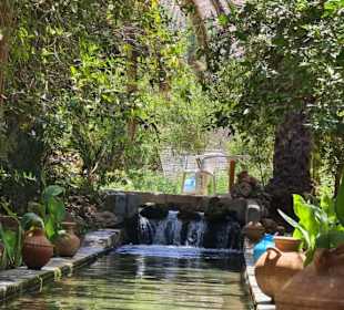 Agadir Excursions Rachid