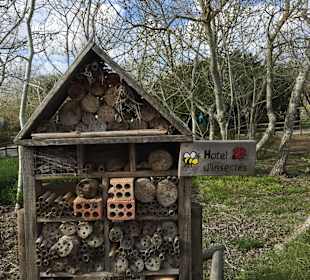 Naturpark S'Albufera