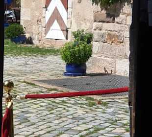 Der Innenhof der Burg