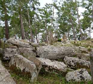  Teile der Säulenhalle