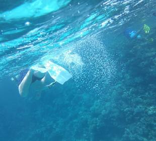 Mehrmaliger Schnorchelstopp