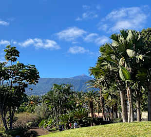 Wandern Puerto de la Cruz