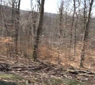 Geologischer Lehrpfad Kirnbachtal