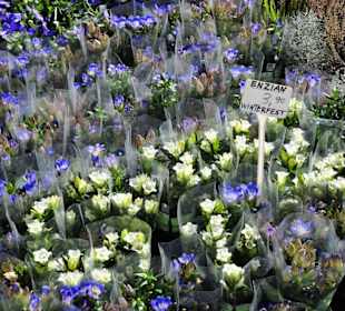 Rundgang über die Salzburger Schranne