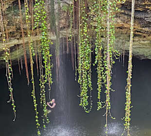Cenote Adventures