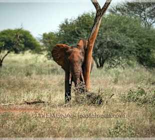 Wohin das Auge schaut...