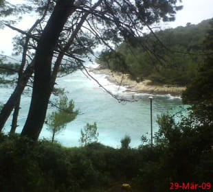 Der Ausblick vom Wald auf das Meer