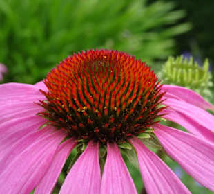 Impressionen aus dem Park der Gärten