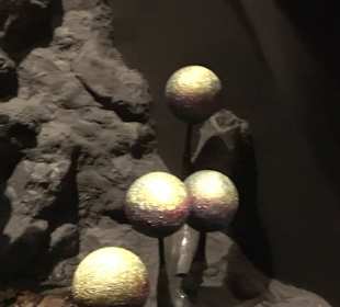 Naturparkzentrum Ruhestein