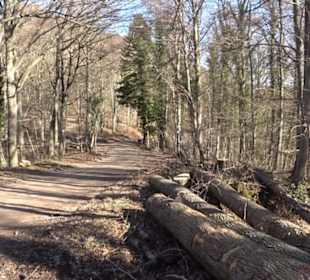 Wandertour Eppenzill