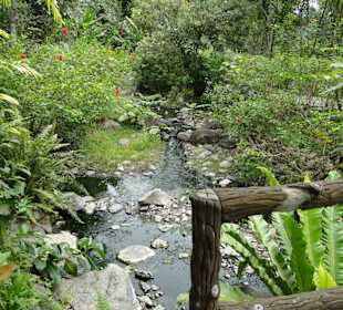 Poring Hot Springs - Schmetterlingsgarten