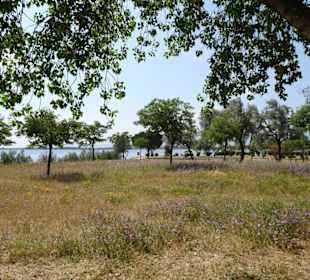 Uferzone am Lac de Villeneuve-de-la-Raho