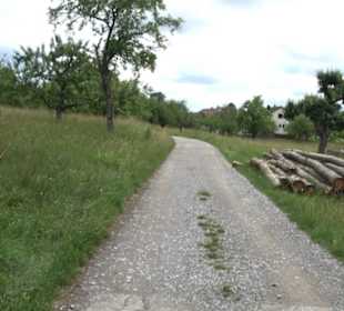 Wanderweg - Alter Steinbruch Pfaffenberg Runde