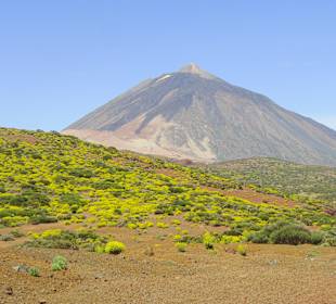 Teide