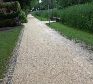 Baumlehrpfad Glacis Park