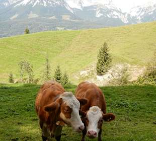 Wandern Ellmau am Wilden Kaiser