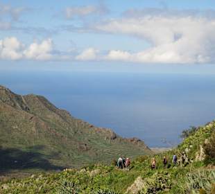 Wandern mit der Wanderjule in Teno Alto