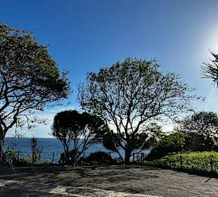 Hafenpromenade Funchal