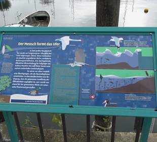 Skulptur "Hockender Schwimmer"