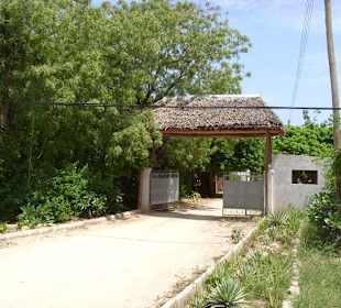 Eingang zum African Pot