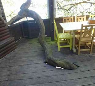 Aussichtspunkt Knysna