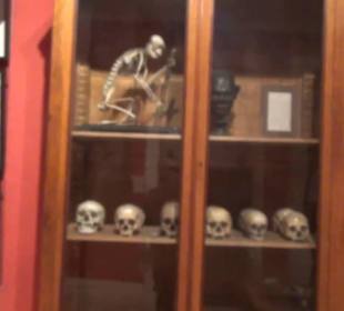 Nationalmuseum der Anthropologie