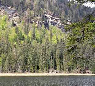 Wandern Drachselsried