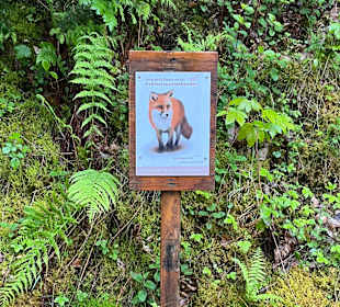 Wandern Simonswald