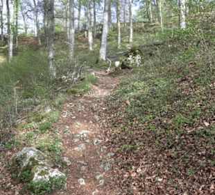 Wanderweg Hochgehswiggert