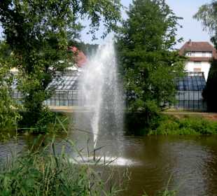 Ententeich mit Fontäne