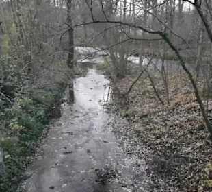 Fluss Breitenbach
