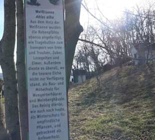 Wanderung Florianrunde