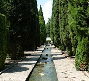 Botanischer Garten