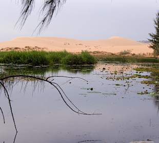 White Sand Dunes