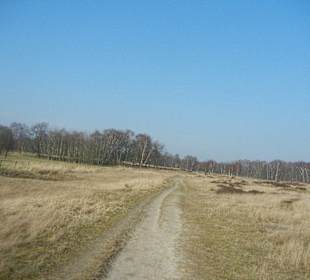 Wunderschöne Boberger Niederung