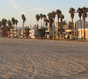 Venice Beach