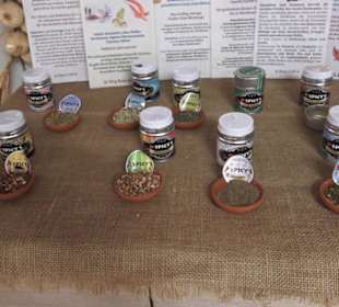 Spicy's Gewürzmuseum