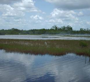 Everglades