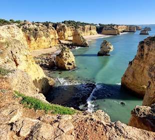 Seven Hanging Valleys Trail 