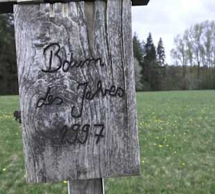 Lehrpfad Bäume des Jahres