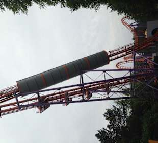Speed of Sound