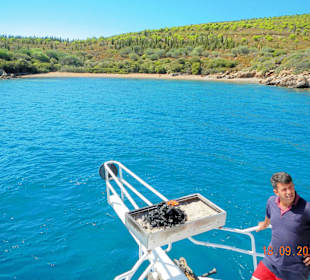 Hier wurde der Fisch gegrillt