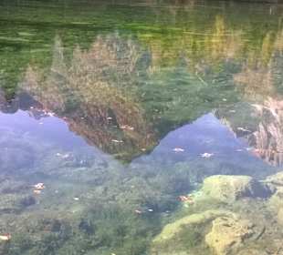 Spiegelbild der Spitzmauer