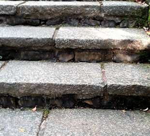 Elephant Mountain Xiangshan Hiking Trail 