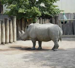 Allwetterzoo Münster