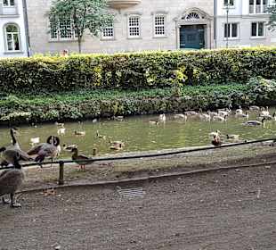 Hofgarten Düsseldorf