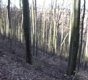 Wanderroute Drei Berge Tour Willmandingen
