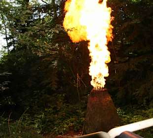 Serengeti Park Hodenhagen