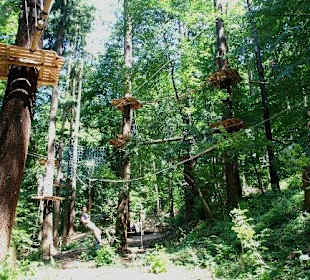 Parcours in den Bäumen