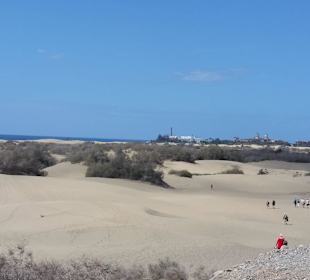 Abwechslungsreiche Landschaft